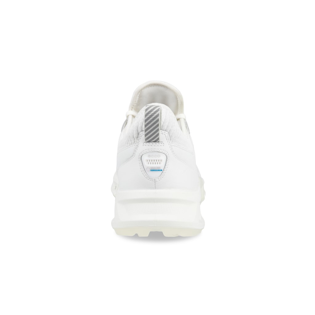 13040401007