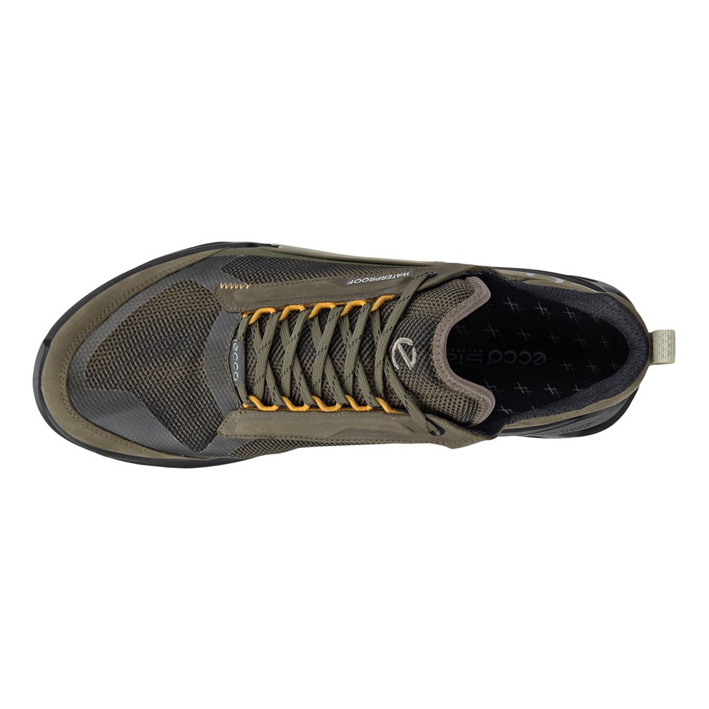 Biom 21 X Mountain M 