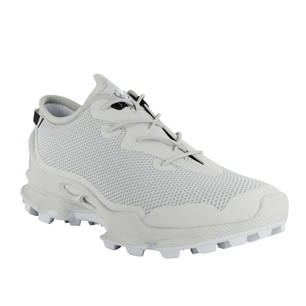 ECCO Biom C Trail Men 