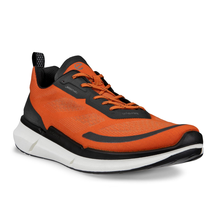 ECCO Biom 2.2 M 