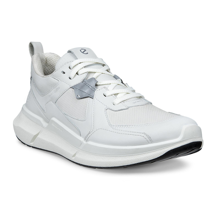 ECCO Biom 2.2 W 