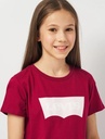 LVG BATWING TEE 