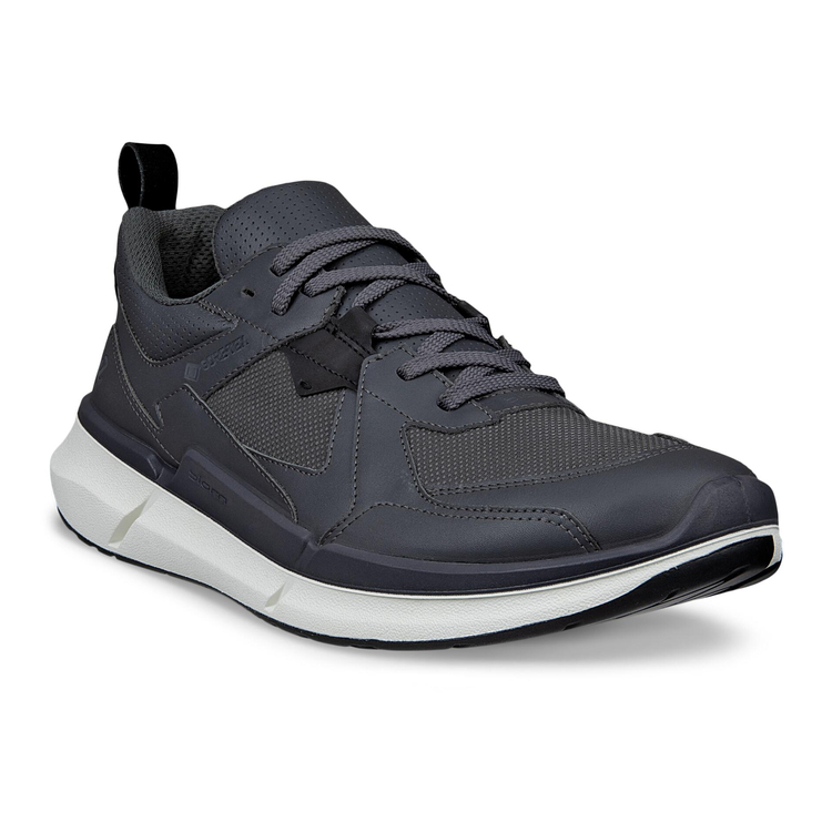 ECCO Biom 2.2 M