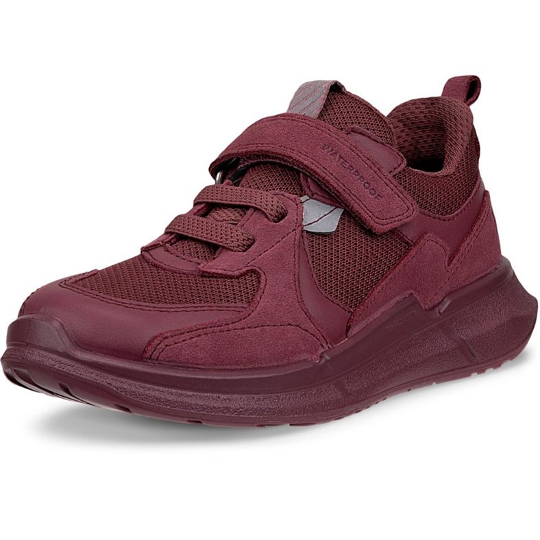 ECCO Biom 2.2 K Nocturne 