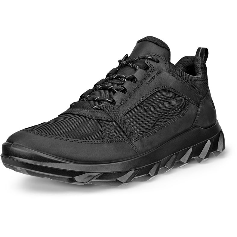 ECCO MX M 