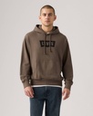 PREMIUM GRAPHIC HOODIE VINTAGE BATWING 