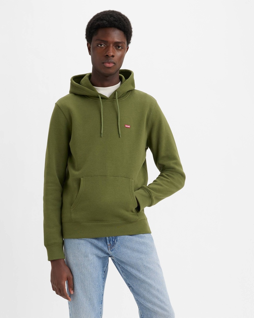CORE NG HOODIE SEA MOSS