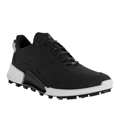 ECCO Biom 2.1 X Mountain W