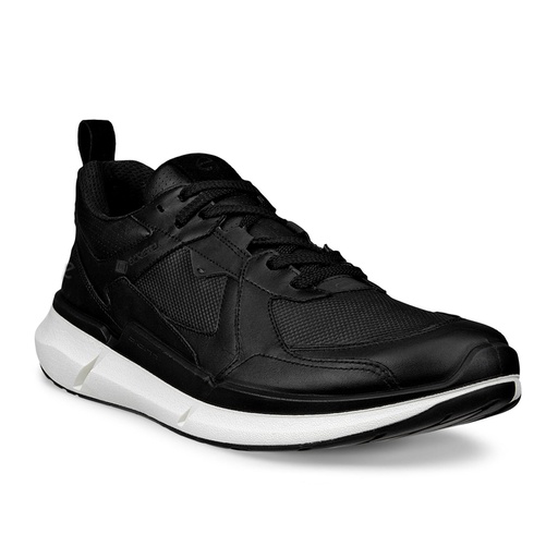 ECCO Biom 2.2 M
