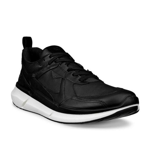 ECCO Biom 2.2 M