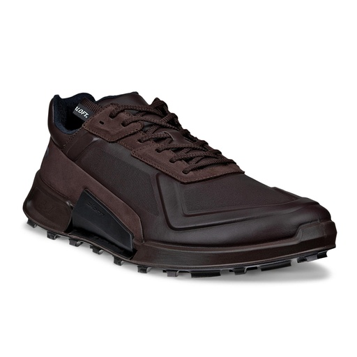 ECCO Biom 2.1 X Mountain M  