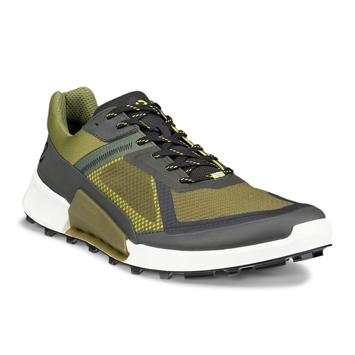 ECCO Biom 2.1 X Mountain M 