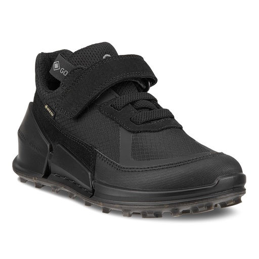 ECCO Biom K2 